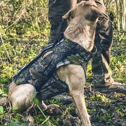 JACK PYKE TECHNICAL NEOPRENE DOG VEST | Water-Resistant W/ Grab Handle Miscellaneous Items 5 JACK PYKE TECHNICAL NEOPRENE DOG VEST | Water-Resistant W/ Grab Handle Miscellaneous Items