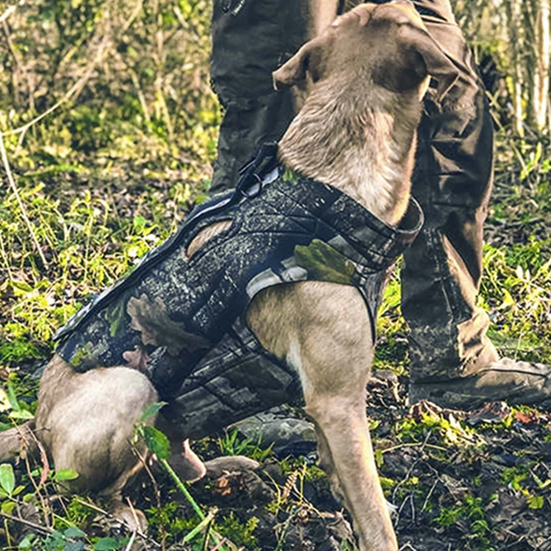 JACK PYKE TECHNICAL NEOPRENE DOG VEST | Water-Resistant W/ Grab Handle Miscellaneous Items JACK PYKE TECHNICAL NEOPRENE DOG VEST | Water-Resistant W/ Grab Handle Miscellaneous Items