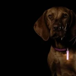 Equipment McNETT NI-GLO GEAR MARKER LIGHT | Battery-Free, Reusable, 5cm X 1.2cm