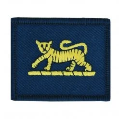 Unbranded PWRR Tiger Patch