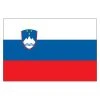 Unbranded Slovenia Flag Miscellaneous Items